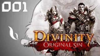 Ankunft in Rivellon | Let's Play Divinity: Original Sin [001] (Deutsch/German/COOP)