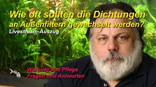 Wie oft sollte man am Außenfilter die Dichtungen wechseln? Aquaristik-Hack #4