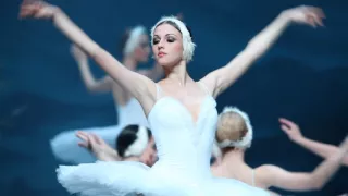 St Petersburg Ballet presents Swan Lake - Edinburgh Playhouse - ATG Tickets