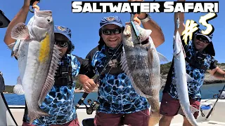 Saltwater Safari #5: EPIC FISHING DAY!!! Countless BIG FISH caught on a SINGLE lure!