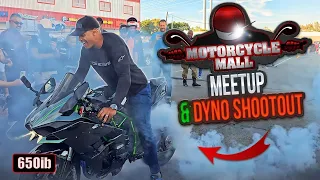 Ducati V4R, 1600cc Suzuki Hayabusa & BMW M 1000 RR | DYNO SHOOTOUT!