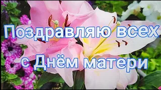 Прекрасные лилии наших друзей. Желаю всем счастья, мира, любви, добра и процветания...