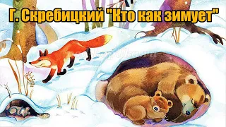 Г. Скребицкий "Кто как зимует"