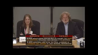 Canadian Senate hearing 1 on ending captivity of whales and dolphins.