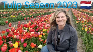 We Visited Holland Michigan During Tulip Season