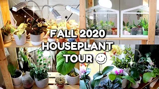 Bedroom Houseplant Collection Tour Fall 2020 | Aroids, Orchids, Hoyas & MORE!