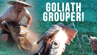 GIANT Bait For GOLIATH GROUPERS From Shore! These Fish Are MASSIVE!