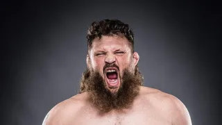 TOP 10 ROY NELSON KNOCKOUTS