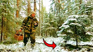 Вышел в новый лес на закате и обалдел! Нашел грибы гиганты под снегом, фантастика! Грибы 2021