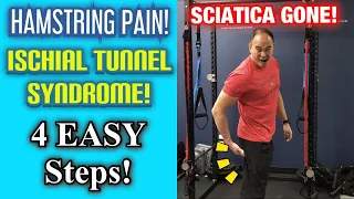 SCIATICA! HAMSTRING PAIN! Ischial Tunnel Syndrome! 4 EASY Exercises! | Dr Wil & Dr K
