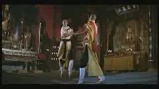 Top 10 Trad Kung Fu Fights; 8 Diagram Pole Fighter No.3