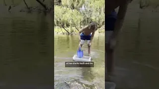 now it is multipurpose: hammock holder and shark teeth sifter