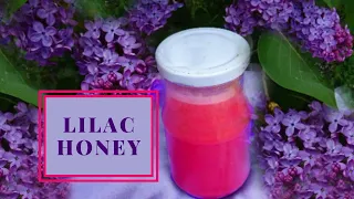 Edible flowers.Lilac flavoured honey recipe.Foraging for edible wild flowers,plants,weeds
