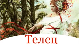 Телец ♉️ Таро-прогноз на неделю с 22-28 Апреля 2024 года..