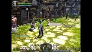 Dragon Nest  Ассасин начало истории