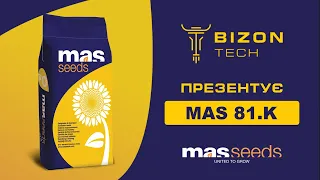 Огляд на гібрид соняшнику МАС 81.K (MAS 81.K) MAS Seeds