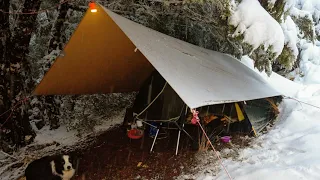 Tent Camping in the Snow - 2 Nights - Fire - Dog - ASMR