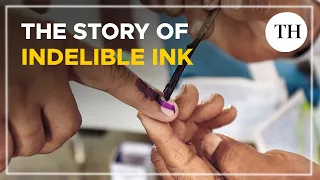 Voting ink: When was it first used and where is it made? | Lok Sabha polls 2024