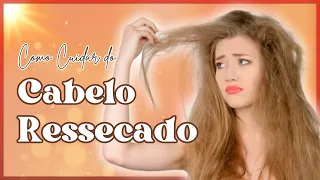 Seu Cabelo está ressecado e quebrando? [Três] dicas para hidratar o seu cabelo!!!!!