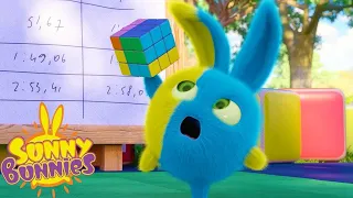 SUNNY BUNNIES - CUBO DE RUBIK | Dibujos animados para niños | WildBrain