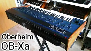 Oberheim OB-Xa Analog Synthesizer (1981) "Oberfett Xa"