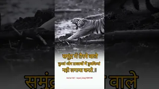 समुद्र में तैरने वाले कुआं और तालाबों में डुबकियां नहीं लगाते। #viral_video #newshort #amitabh