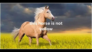 let's confuse the non-equestrians pt 2