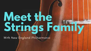 String Instruments for Kids with New England Philharmonic
