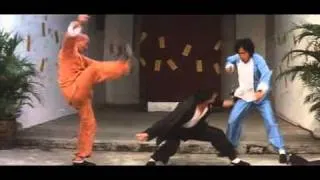 Kung Fu Genius - Duck Style