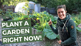 Plant A Garden Right Now! // Homesteading & Organic Gardening