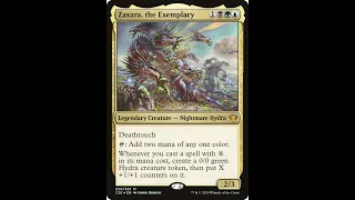 MTG Zaxara, The Exemplary $250 budget EDH Deck Tech!  The infinite combos are real!!