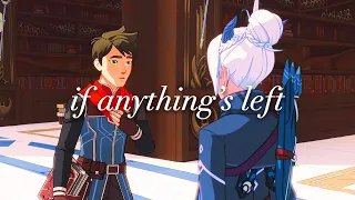 if anything's left - rayllum