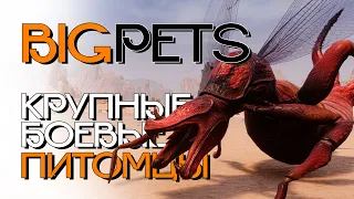 Крупные боевые питомцы! Conan Exiles! Big pets!