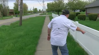 Tall grass on Suder Avenue raising concerns for Point Place residents