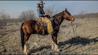 Dale Tries Ranching On A CLYDESDALE - Rodeo Time 328