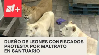 Capitalinos llevan carne para alimentar a felinos en santuario del Ajusco - En Punto