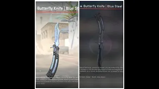 💣 Butterfly Knife | Blue Steel CS2 latest update