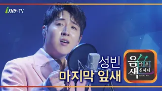 성빈 - 마지막 잎새 [아이넷TV 음색]