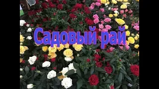 "ОБИ" "САДОВЫЙ РАЙ" КРАСОТА НЕ ОБЫКНОВЕННАЯ)))) 1 часть