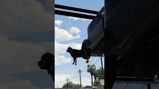 Why Would Rockstar Do This To Chop?!