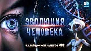 Эволюция человека | Калейдоскоп фактов 32