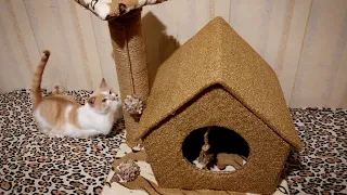 Когтеточка своими руками , домик для кота//cat house and scratching post