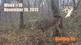 Big Bucks While Bow Hunting