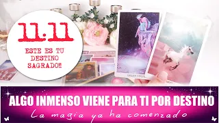 💌ATENCION! ESTE VIDEO SOLO ESTARÁ DISPONIBLE DURANTE POCOS DIAS!! TU DESTINO SE REVELA YA!!🔮 TAROT