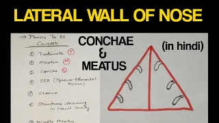 Lateral Wall of Nose | Concha and Meatus | Head & Neck