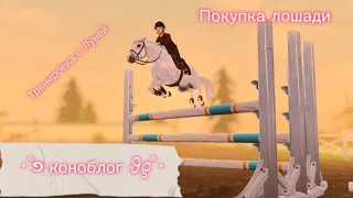 • коноблог • покупка новой лошади ? • star stable online •