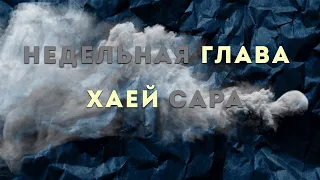 Недельная глава Хаей сара/Тора Ми Цион/рав Давид Юшуваев