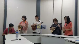 小白船 ( ukulele