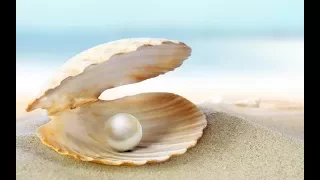 Learn English Through Story With Subtitle -The Pearl