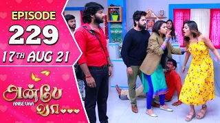 Anbe Vaa Serial | Episode 229 | 17th Aug 2021 | Virat | Delna Davis | Saregama TV Shows Tamil